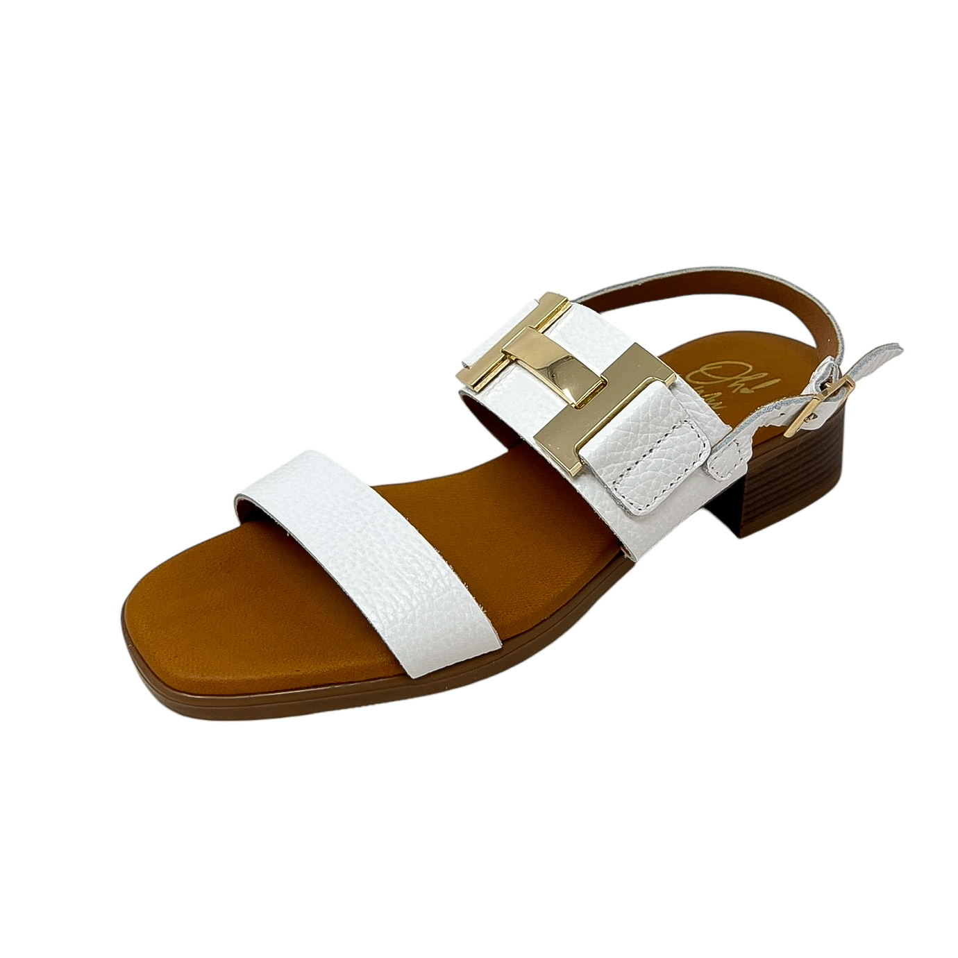 Photoroom_198_20250408_160835